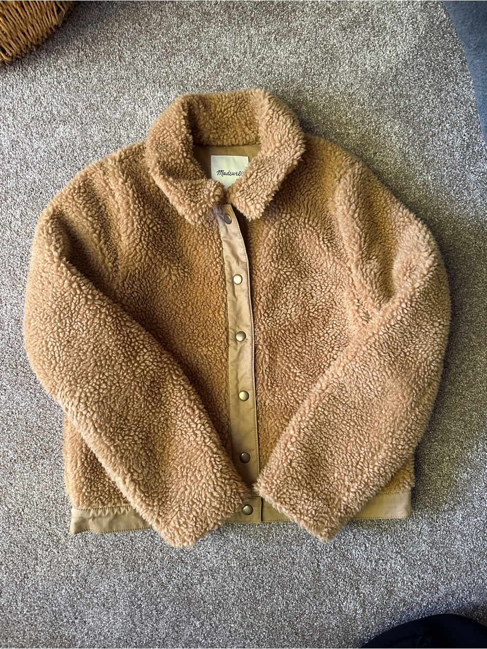 Madewell Plush Teddy Sherpa Coat